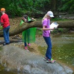 073 Recording water quality measurements at the river