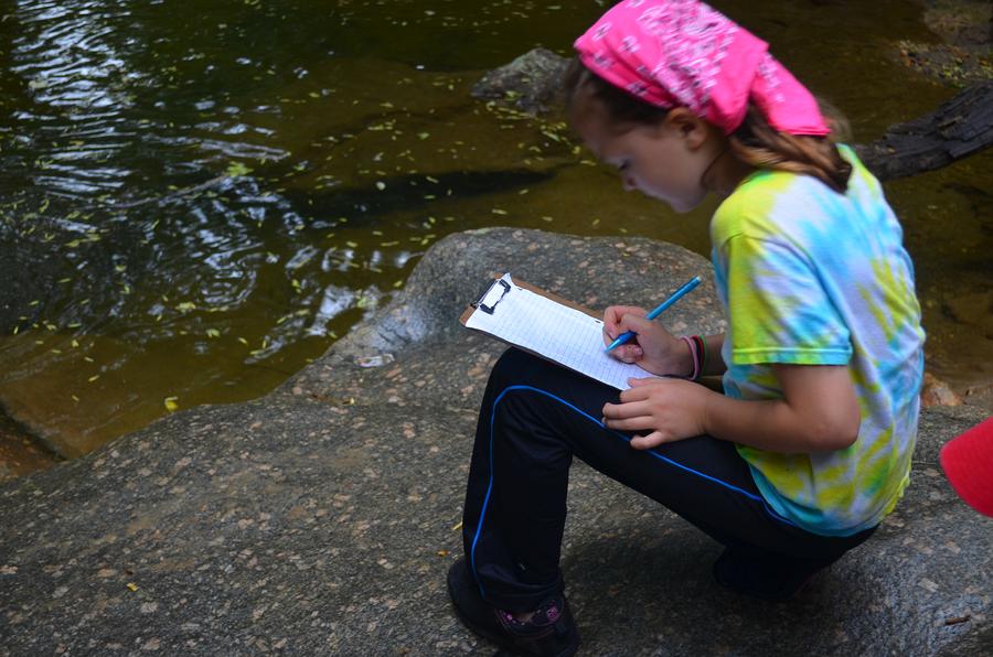 Recording data at the top of the swimming hole