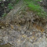 104 Good example of sediment layers showing all three types of soil silt clay and sand
