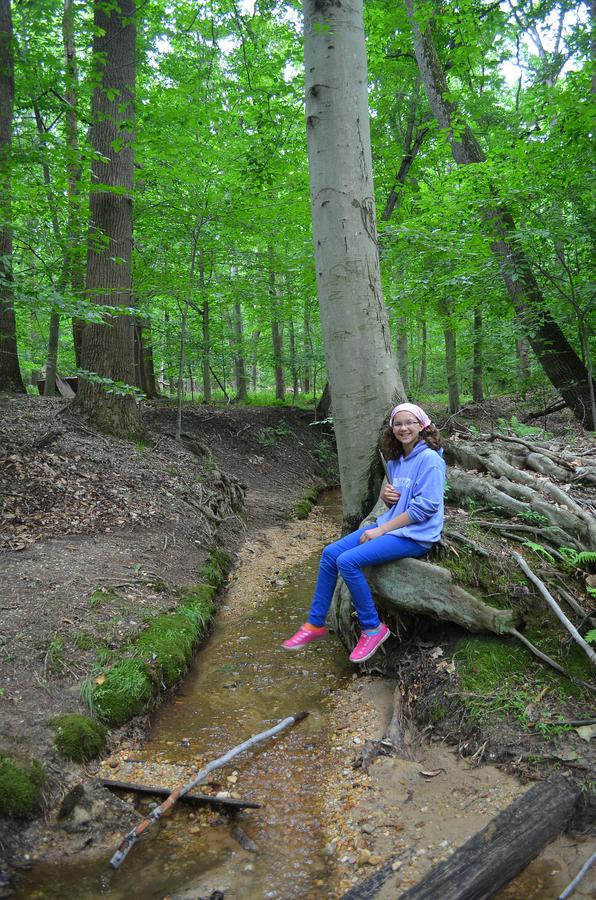 Student taking a break and sitting on a tree root outcropping