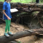 154 Students surveying erosion cliffs in Rockburn Park