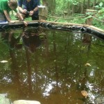 157 Students surveying the Rockburn Frog Pond
